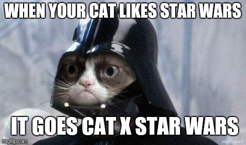 Grumpy Cat Star Wars | WHEN YOUR CAT LIKES STAR WARS; IT GOES CAT X STAR WARS | image tagged in memes,grumpy cat star wars,grumpy cat | made w/ Imgflip meme maker