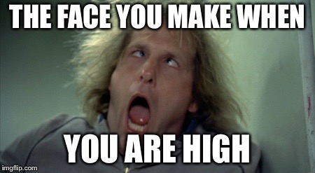 Scary Harry Meme | THE FACE YOU MAKE WHEN; YOU ARE HIGH | image tagged in memes,scary harry | made w/ Imgflip meme maker