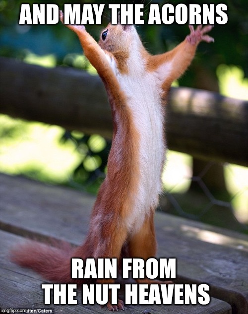 Chipmunk workship | AND MAY THE ACORNS; RAIN FROM THE NUT HEAVENS | image tagged in chipmunk workship | made w/ Imgflip meme maker