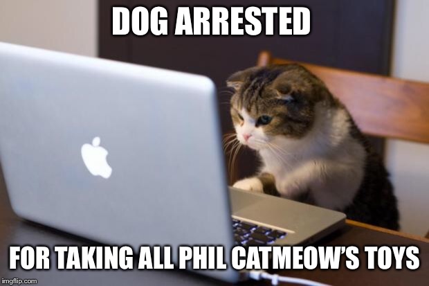 Cat using computer | DOG ARRESTED; FOR TAKING ALL PHIL CATMEOW’S TOYS | image tagged in cat using computer | made w/ Imgflip meme maker