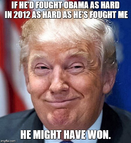 IF HE'D FOUGHT OBAMA AS HARD IN 2012 AS HARD AS HE'S FOUGHT ME HE MIGHT HAVE WON. | image tagged in donald trump | made w/ Imgflip meme maker
