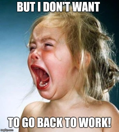 Little girl crying  | BUT I DON'T WANT; TO GO BACK TO WORK! | image tagged in little girl crying | made w/ Imgflip meme maker