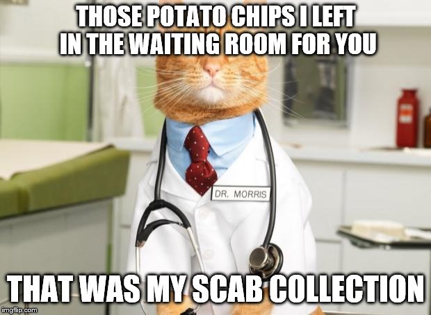 Cat Doctor | THOSE POTATO CHIPS I LEFT IN THE WAITING ROOM FOR YOU THAT WAS MY SCAB COLLECTION | image tagged in cat doctor | made w/ Imgflip meme maker