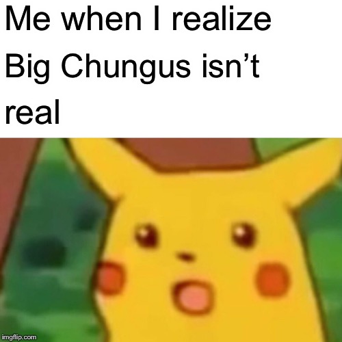 Surprised Pikachu | Me when I realize; Big Chungus isn’t; real | image tagged in memes,surprised pikachu,big chungus | made w/ Imgflip meme maker
