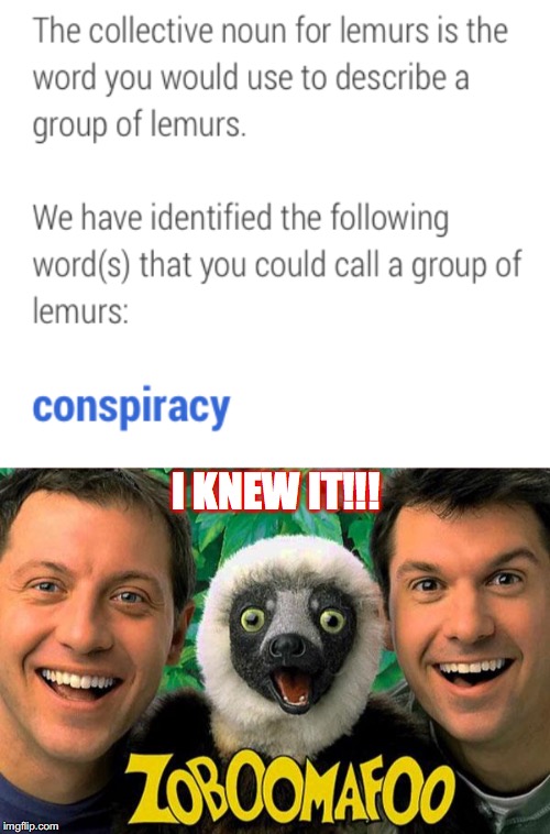I KNEW IT!!! | I KNEW IT!!! | image tagged in funny,conspiracy,pbs,kids,animals | made w/ Imgflip meme maker