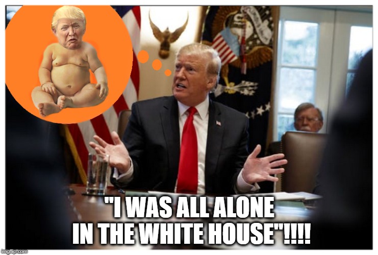 OH, THE HUMANITY! | "I WAS ALL ALONE IN THE WHITE HOUSE"!!!! | image tagged in donald trump,angry baby,baby crying,whitehouse,tiny hands | made w/ Imgflip meme maker