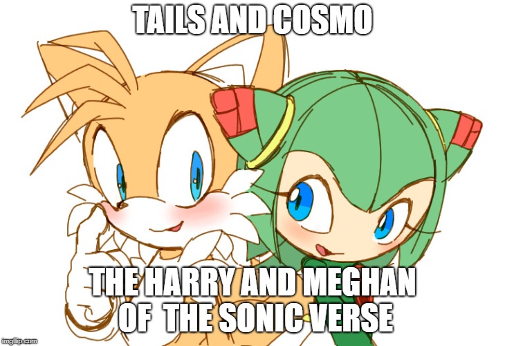 TAILS AND COSMO; THE HARRY AND MEGHAN OF  THE SONIC VERSE | image tagged in tails and cosmo | made w/ Imgflip meme maker