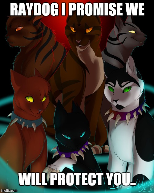 warrior cats are bad as I  | RAYDOG I PROMISE WE WILL PROTECT YOU.. | image tagged in warrior cats are bad as i | made w/ Imgflip meme maker