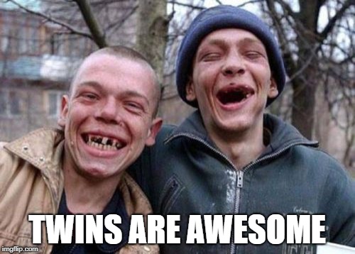 Ugly Twins Meme | TWINS ARE AWESOME | image tagged in memes,ugly twins | made w/ Imgflip meme maker