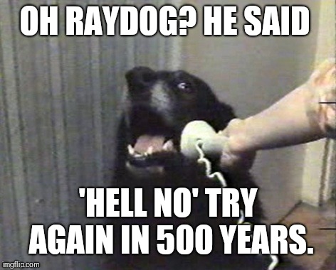 Phone dog | OH RAYDOG? HE SAID 'HELL NO' TRY AGAIN IN 500 YEARS. | image tagged in phone dog | made w/ Imgflip meme maker