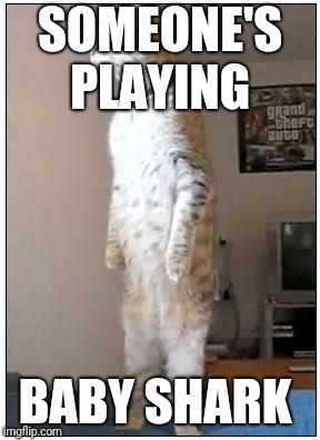 SOMEONE'S PLAYING; BABY SHARK | image tagged in cat | made w/ Imgflip meme maker