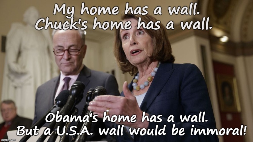 Pelosi has wall.  USA wall immoral! | My home has a wall. Chuck's home has a wall. Obama's home has a wall. 
But a U.S.A. wall would be immoral! | image tagged in nancy pelosi,chuck schumer,obama,build the wall,immoral,liberals | made w/ Imgflip meme maker
