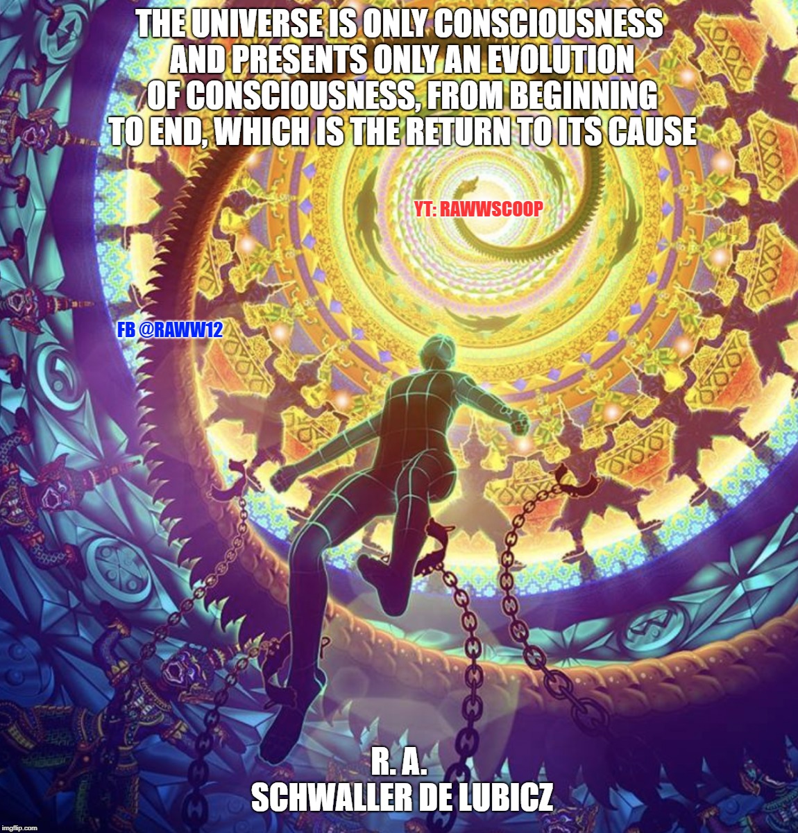 Conscious Universe | THE UNIVERSE IS ONLY CONSCIOUSNESS AND PRESENTS ONLY AN EVOLUTION OF CONSCIOUSNESS, FROM BEGINNING TO END, WHICH IS THE RETURN TO ITS CAUSE; YT: RAWWSCOOP; FB @RAWW12; R. A. SCHWALLER DE LUBICZ | image tagged in conscious universe | made w/ Imgflip meme maker