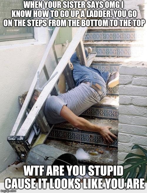 Ladder Fail | WHEN YOUR SISTER SAYS OMG I KNOW HOW TO GO UP A LADDER. YOU GO ON THE STEPS FROM THE BOTTOM TO THE TOP; WTF ARE YOU STUPID CAUSE IT LOOKS LIKE YOU ARE | image tagged in ladder fail | made w/ Imgflip meme maker
