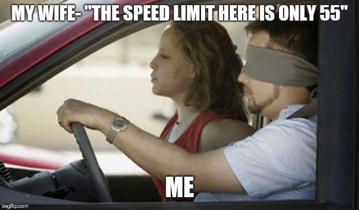 Bird box madness cars |  MY WIFE- "THE SPEED LIMIT HERE IS ONLY 55"; ME | image tagged in birdbox,netflix | made w/ Imgflip meme maker