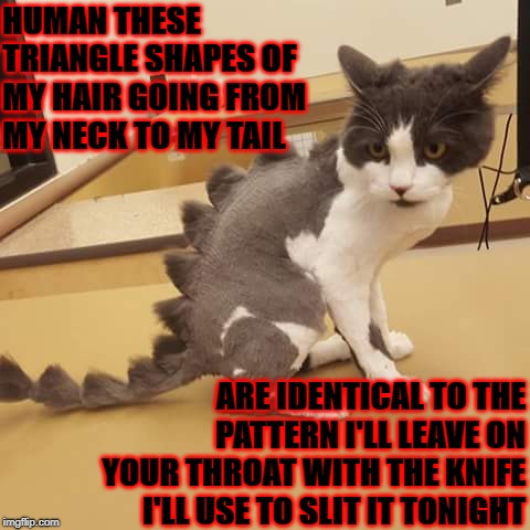 HUMAN THESE TRIANGLE SHAPES OF MY HAIR GOING FROM MY NECK TO MY TAIL; ARE IDENTICAL TO THE PATTERN I'LL LEAVE ON YOUR THROAT WITH THE KNIFE I'LL USE TO SLIT IT TONIGHT | image tagged in hairdo murder | made w/ Imgflip meme maker