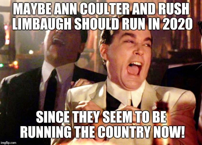 Good Fellas Hilarious Meme | MAYBE ANN COULTER AND RUSH LIMBAUGH SHOULD RUN IN 2020; SINCE THEY SEEM TO BE RUNNING THE COUNTRY NOW! | image tagged in memes,good fellas hilarious | made w/ Imgflip meme maker