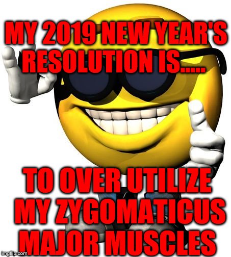 Cool smiley | MY 2019 NEW YEAR'S RESOLUTION IS..... TO OVER UTILIZE MY ZYGOMATICUS MAJOR MUSCLES | image tagged in cool smiley | made w/ Imgflip meme maker