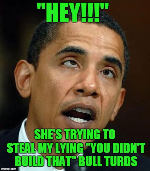 partisanship | "HEY!!!" SHE'S TRYING TO STEAL MY LYING "YOU DIDN'T BUILD THAT" BULL TURDS | image tagged in partisanship | made w/ Imgflip meme maker