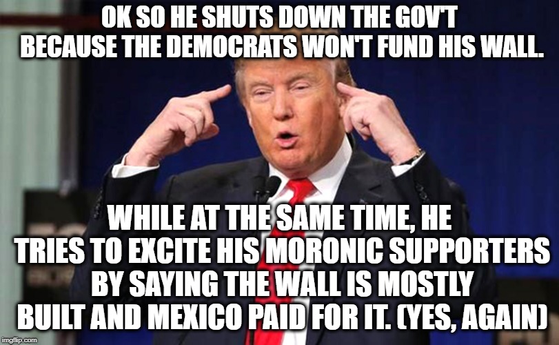 Make Sense If You're A Republican I Guess | OK SO HE SHUTS DOWN THE GOV'T BECAUSE THE DEMOCRATS WON'T FUND HIS WALL. WHILE AT THE SAME TIME, HE TRIES TO EXCITE HIS MORONIC SUPPORTERS BY SAYING THE WALL IS MOSTLY BUILT AND MEXICO PAID FOR IT. (YES, AGAIN) | image tagged in donald trump,wall,border wall,mexico,stupid obvious lies,government shutdown | made w/ Imgflip meme maker