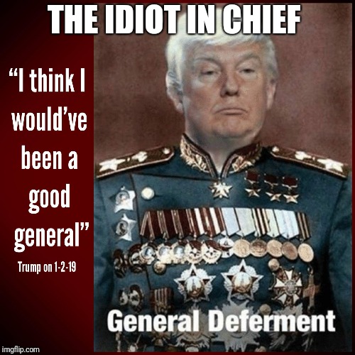 Memes | THE IDIOT IN CHIEF | image tagged in donald trump | made w/ Imgflip meme maker