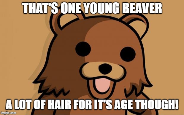 Pedo Bear | THAT'S ONE YOUNG BEAVER A LOT OF HAIR FOR IT'S AGE THOUGH! | image tagged in pedo bear | made w/ Imgflip meme maker