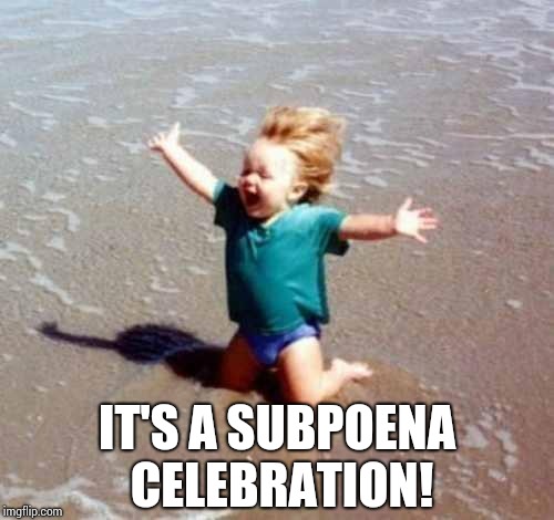 Celebration | IT'S A SUBPOENA CELEBRATION! | image tagged in celebration | made w/ Imgflip meme maker