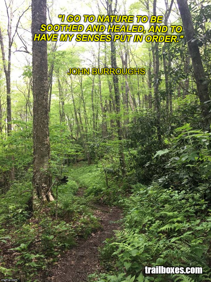 Nature | "I GO TO NATURE TO BE SOOTHED AND HEALED, AND TO HAVE MY SENSES PUT IN ORDER."; JOHN BURROUGHS; trailboxes.com | image tagged in hiking | made w/ Imgflip meme maker