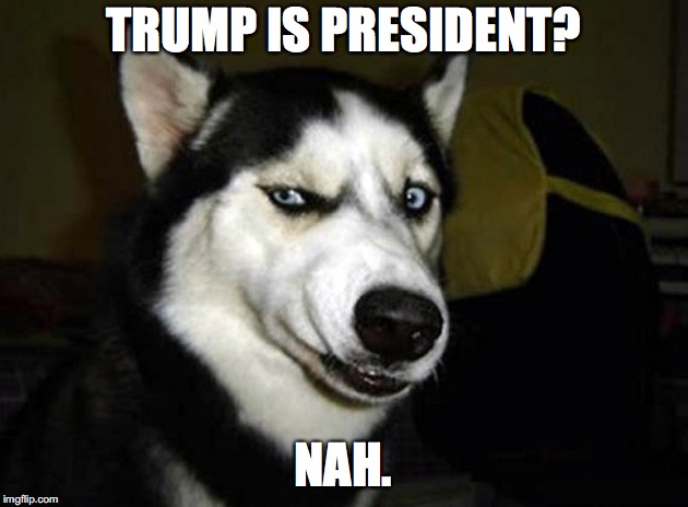 skeptical dog | TRUMP IS PRESIDENT? NAH. | image tagged in skeptical dog | made w/ Imgflip meme maker