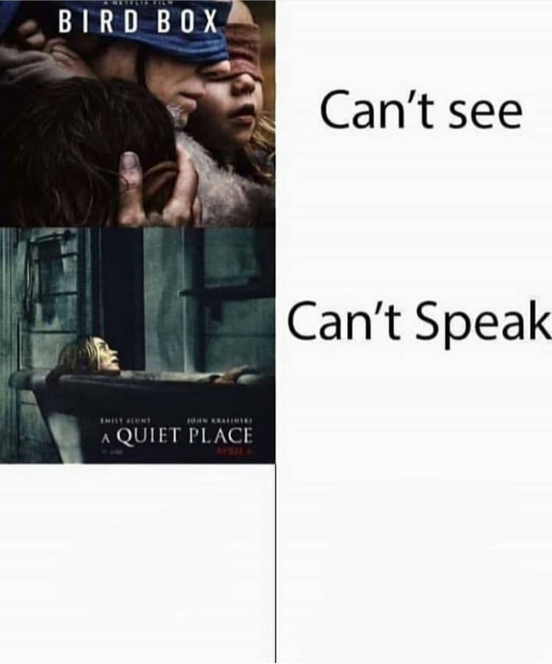 Can't see Blank Meme Template