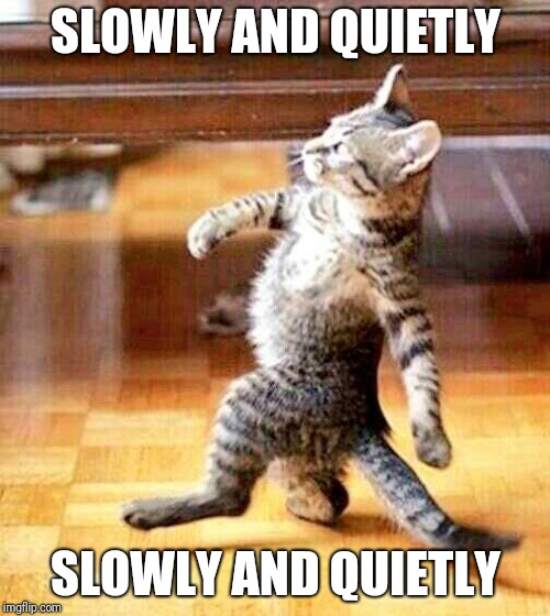 Cat Walking Away | SLOWLY AND QUIETLY SLOWLY AND QUIETLY | image tagged in cat walking away | made w/ Imgflip meme maker