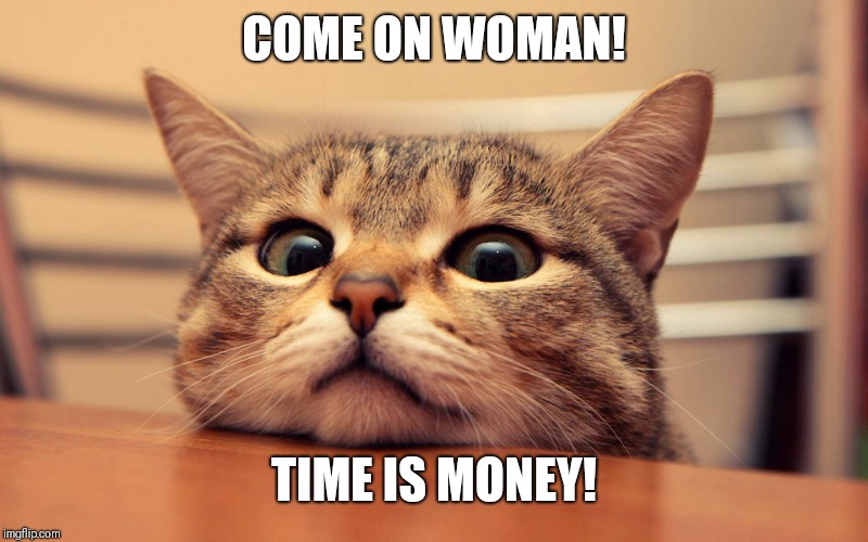 waiting cat | COME ON WOMAN! TIME IS MONEY! | image tagged in waiting cat | made w/ Imgflip meme maker
