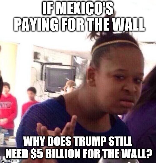 Black Girl Wat Meme | IF MEXICO'S PAYING FOR THE WALL WHY DOES TRUMP STILL NEED $5 BILLION FOR THE WALL? | image tagged in memes,black girl wat | made w/ Imgflip meme maker