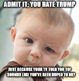 Skeptical Baby Meme | ADMIT IT; YOU HATE TRUMP; JUST BECAUSE YOUR TV TOLD YOU TO!    SOUNDS LIKE YOU'VE BEEN DUPED TO ME! | image tagged in memes,skeptical baby | made w/ Imgflip meme maker