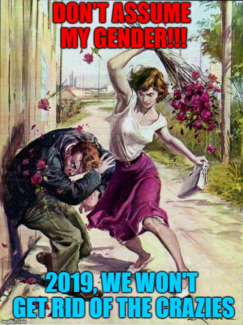 Beaten with Roses | DON'T ASSUME MY GENDER!!! 2019, WE WON'T GET RID OF THE CRAZIES | image tagged in beaten with roses | made w/ Imgflip meme maker