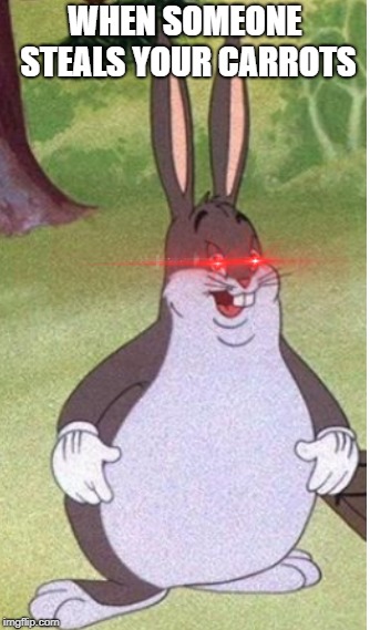chungus | WHEN SOMEONE STEALS YOUR CARROTS | image tagged in rabbit,big chungus | made w/ Imgflip meme maker