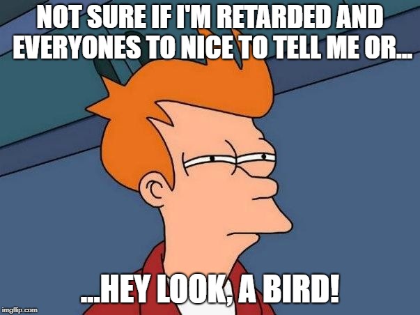 It' a bird! | NOT SURE IF I'M RETARDED AND EVERYONES TO NICE TO TELL ME OR... ...HEY LOOK, A BIRD! | image tagged in not sure if- fry | made w/ Imgflip meme maker