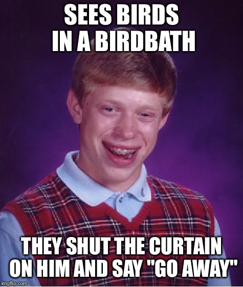 Bad Luck Brian Meme | SEES BIRDS IN A BIRDBATH; THEY SHUT THE CURTAIN ON HIM AND SAY "GO AWAY" | image tagged in memes,bad luck brian | made w/ Imgflip meme maker