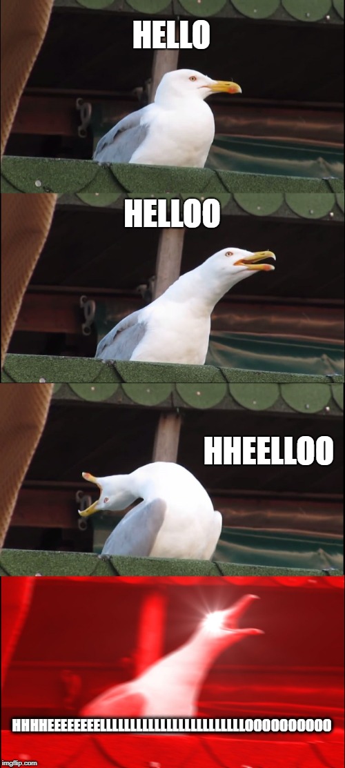 Inhaling Seagull | HELLO; HELLOO; HHEELLOO; HHHHEEEEEEEELLLLLLLLLLLLLLLLLLLLLLLLOOOOOOOOOO | image tagged in memes,inhaling seagull | made w/ Imgflip meme maker