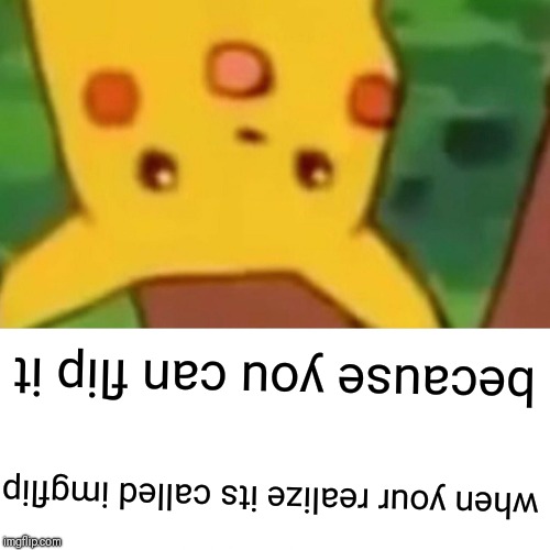 Surprised Pikachu Meme | because you can flip it; when your realize its called imgflip | image tagged in memes,surprised pikachu | made w/ Imgflip meme maker