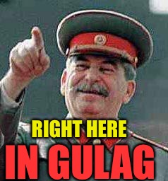 Stalin says | RIGHT HERE IN GULAG | image tagged in stalin says | made w/ Imgflip meme maker