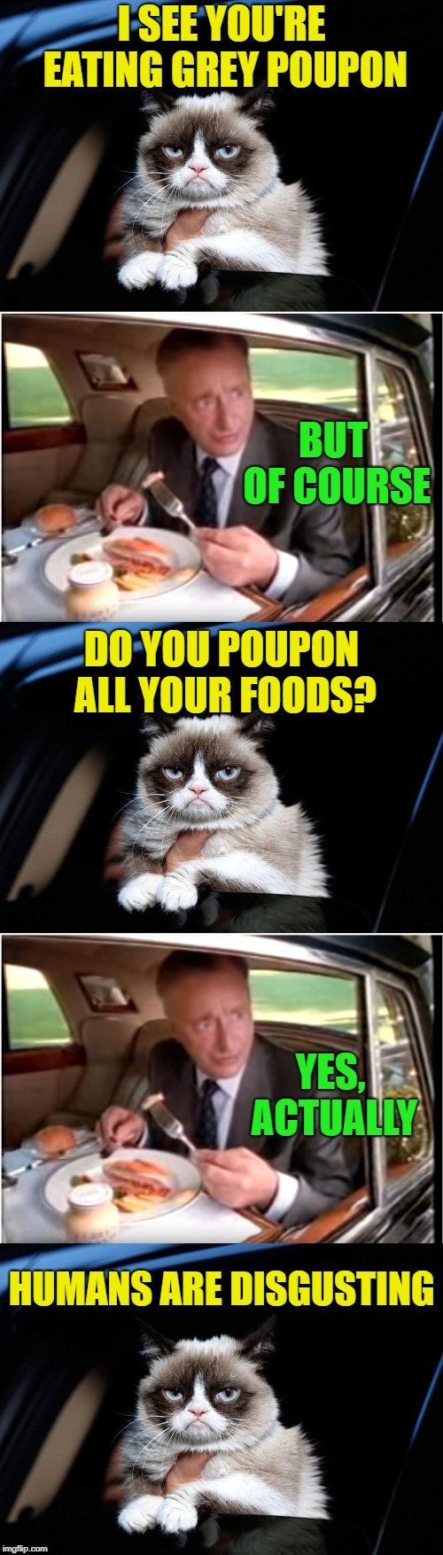 Pardon me... | I SEE YOU'RE EATING GREY POUPON; BUT OF COURSE; DO YOU POUPON ALL YOUR FOODS? YES, ACTUALLY; HUMANS ARE DISGUSTING | image tagged in memes,grumpy cat car window,grey poupon,funny | made w/ Imgflip meme maker