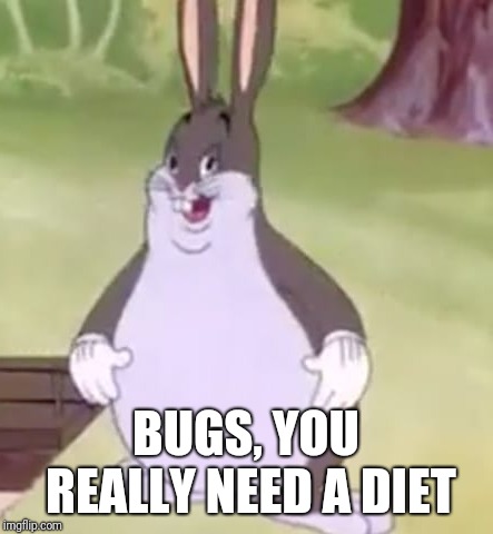 Big Chungus | BUGS, YOU REALLY NEED A DIET | image tagged in big chungus,memes | made w/ Imgflip meme maker