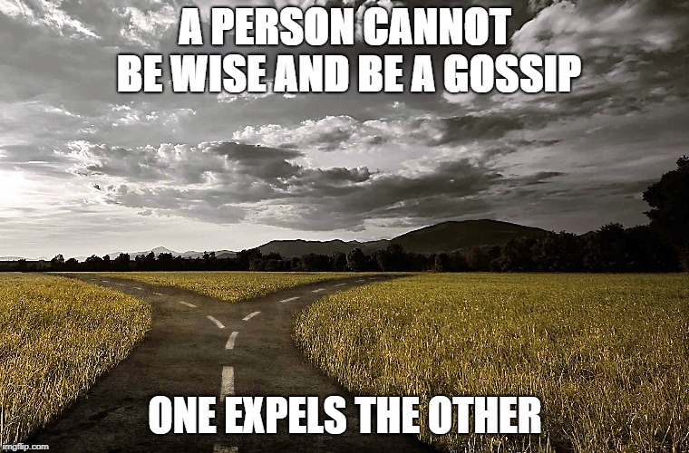 Choose Your Words Wisely | A PERSON CANNOT BE WISE AND BE A GOSSIP; ONE EXPELS THE OTHER | image tagged in memes,gossip,words of wisdom,choices | made w/ Imgflip meme maker