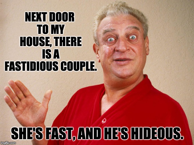 Rodney Dangerfield For Pres | NEXT DOOR TO MY HOUSE, THERE IS A FASTIDIOUS COUPLE. SHE'S FAST, AND HE'S HIDEOUS. | image tagged in rodney dangerfield for pres | made w/ Imgflip meme maker