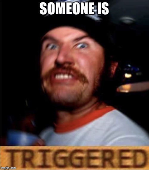 Triggered Conservative | SOMEONE IS | image tagged in triggered conservative | made w/ Imgflip meme maker
