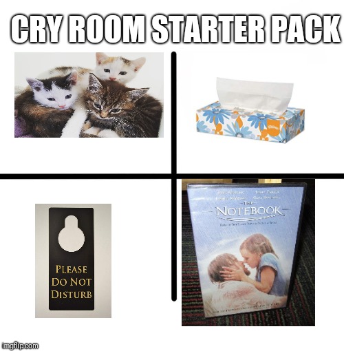 Blank Starter Pack | CRY ROOM STARTER PACK | image tagged in memes,blank starter pack | made w/ Imgflip meme maker