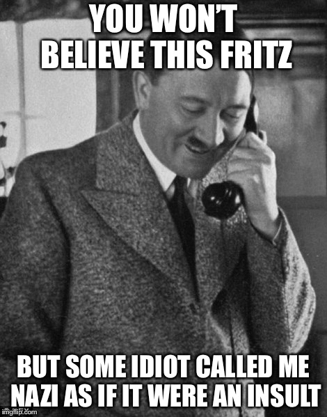Hitler Phone | YOU WON’T BELIEVE THIS FRITZ; BUT SOME IDIOT CALLED ME NAZI AS IF IT WERE AN INSULT | image tagged in hitler phone | made w/ Imgflip meme maker