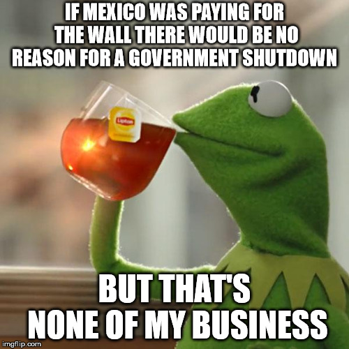 But That's None Of My Business | IF MEXICO WAS PAYING FOR THE WALL THERE WOULD BE NO REASON FOR A GOVERNMENT SHUTDOWN; BUT THAT'S NONE OF MY BUSINESS | image tagged in memes,but thats none of my business,kermit the frog | made w/ Imgflip meme maker