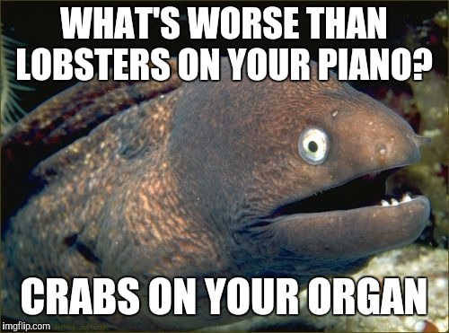 Bad Joke Eel | WHAT'S WORSE THAN LOBSTERS ON YOUR PIANO? CRABS ON YOUR ORGAN | image tagged in memes,bad joke eel | made w/ Imgflip meme maker